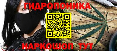 индика Изобильный