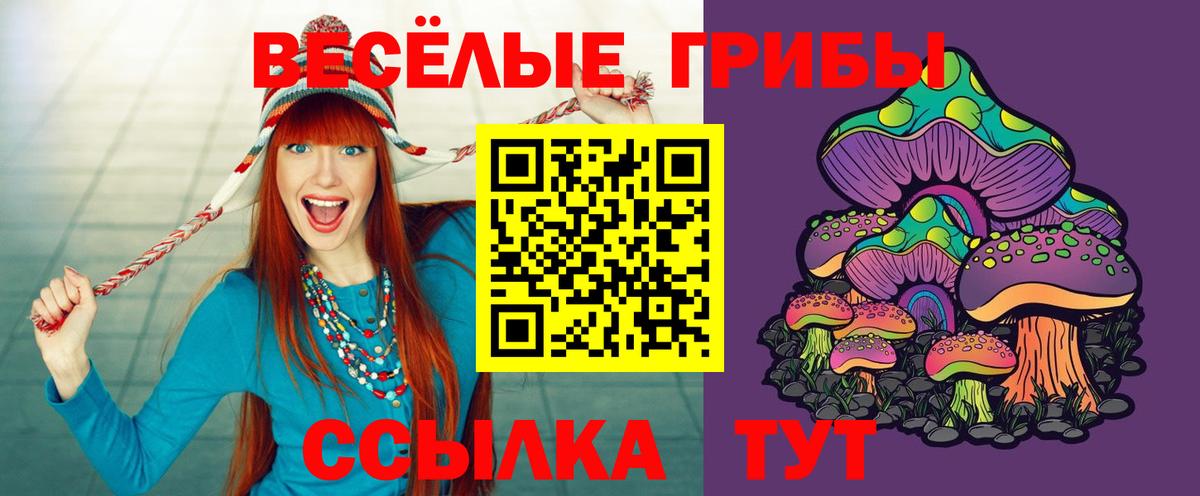 Галлюциногенные грибы мицелий  Вход с VPN  Куйбышев  Галлюциногенные грибы GOLDEN TEACHER 